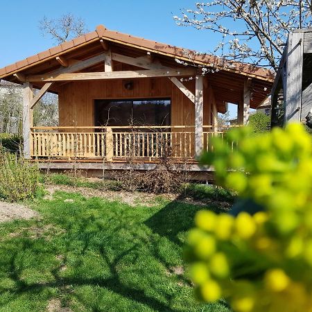 La Cabane Du Jardin Bongheat Buitenkant foto