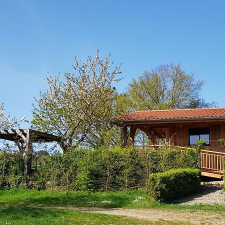 La Cabane Du Jardin Bongheat Buitenkant foto